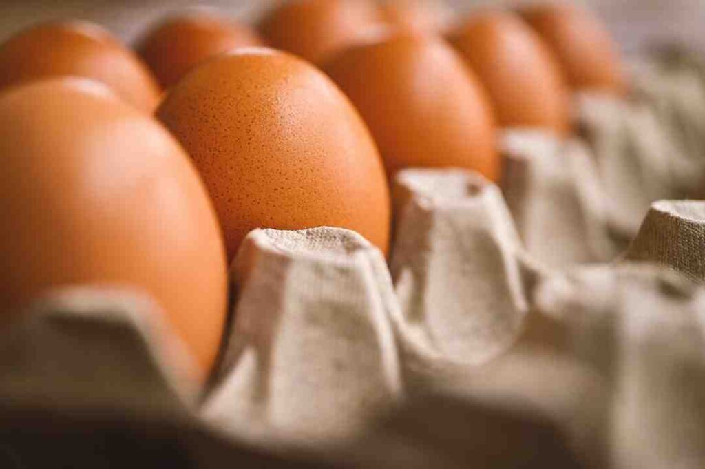 egg rate today mumbai