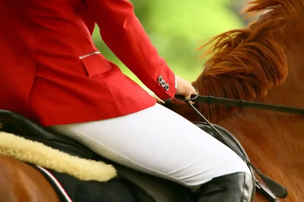 Winter Equestrian Festival