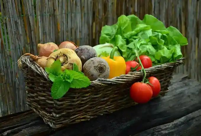 natural grocers vs whole foods