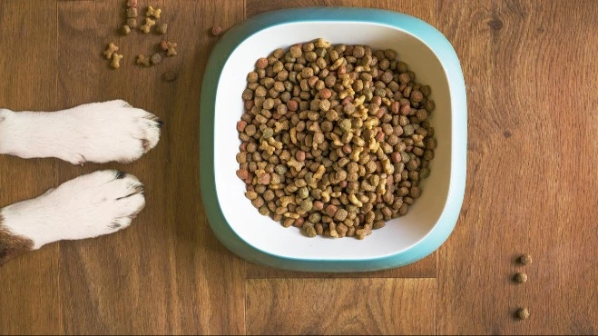 how much is unkibble dog food